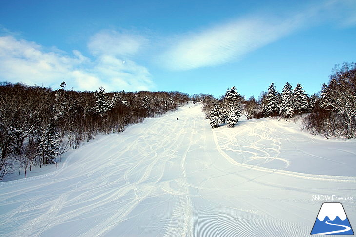 サッポロテイネ -11℃！空に舞い上がる粉雪。